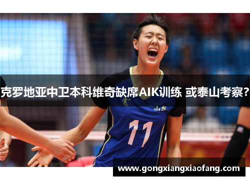 克罗地亚中卫本科维奇缺席AIK训练 或泰山考察？